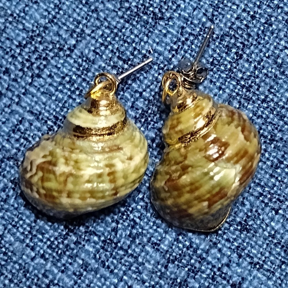 Green & Brown Speckled Shell Earrings
